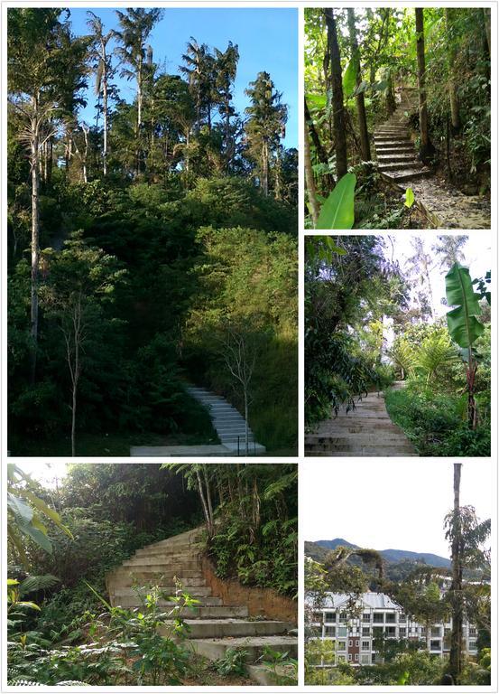 Strawberry Homestay Cameron Highlands Exterior foto